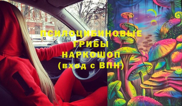 крисы Аксай